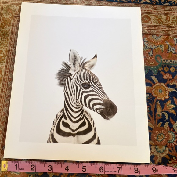 Two original prints by Sharon Montrose for The Animal Print Studio. 8.5 x 11 - Picture 6 of 12